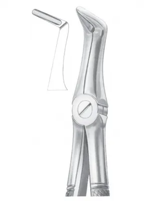 Fig. 49 upper roots 
